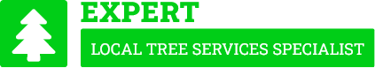 Inner West Tree Care - Tree Removal Sydney